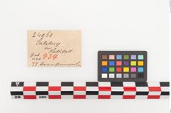Etiketten zu Perlenkette (NHMW-PRAE-024968)